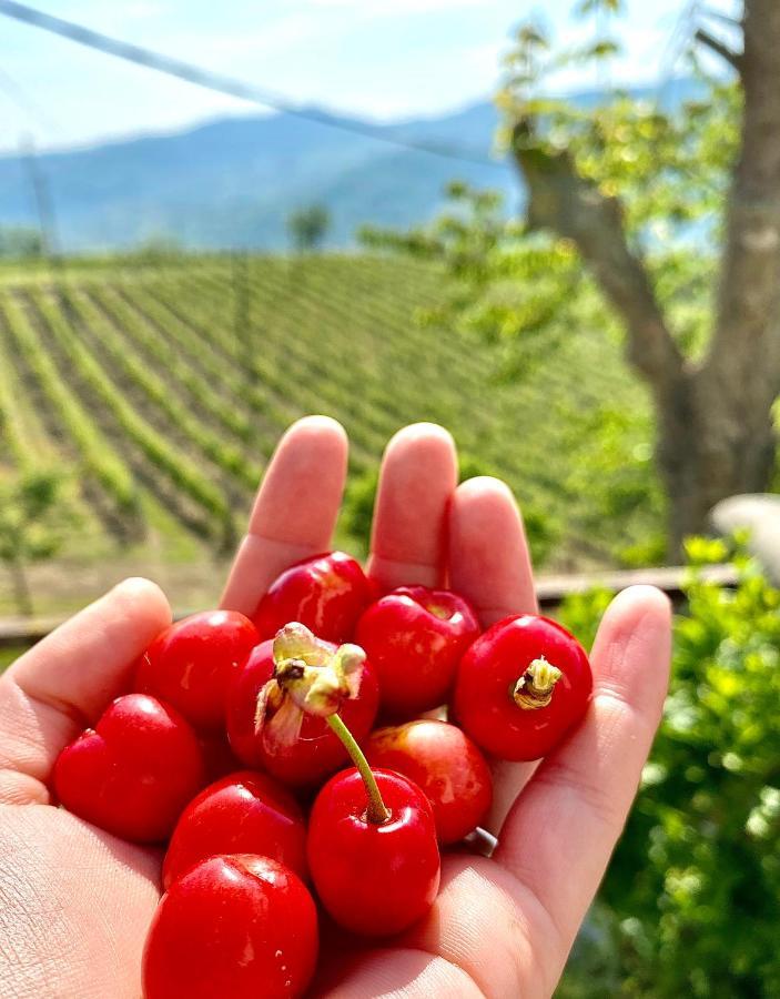 Agriturismo Pian Del Duca Vesime Экстерьер фото