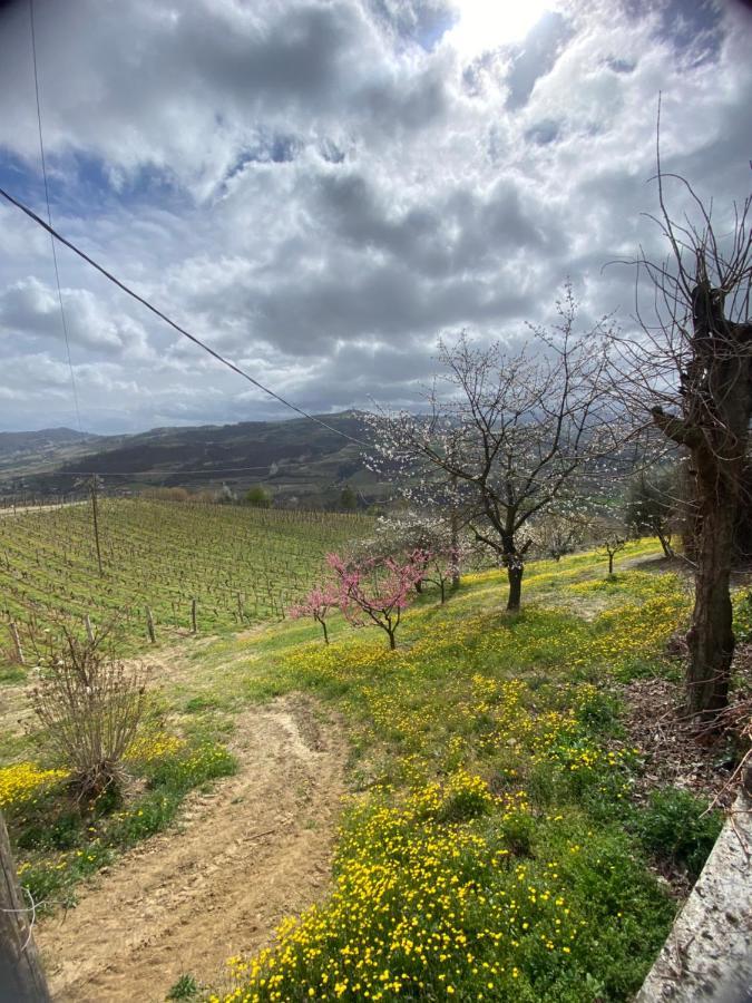 Agriturismo Pian Del Duca Vesime Экстерьер фото
