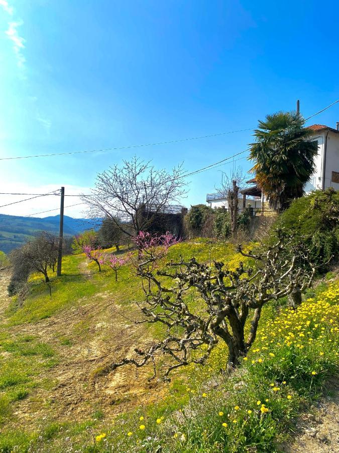 Agriturismo Pian Del Duca Vesime Экстерьер фото