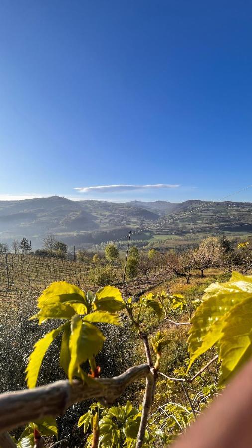 Agriturismo Pian Del Duca Vesime Экстерьер фото